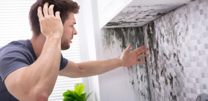 Important Things to Do if You Suspect Mold Exposure