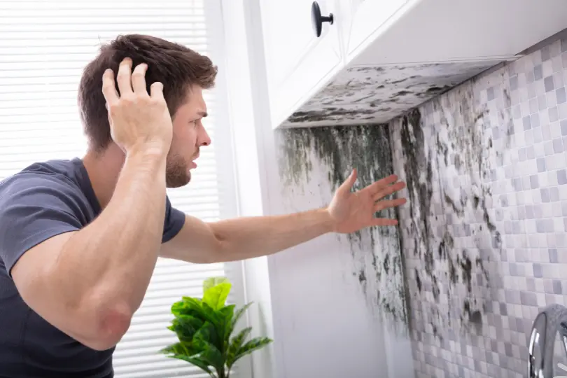 Important Things to Do if You Suspect Mold Exposure