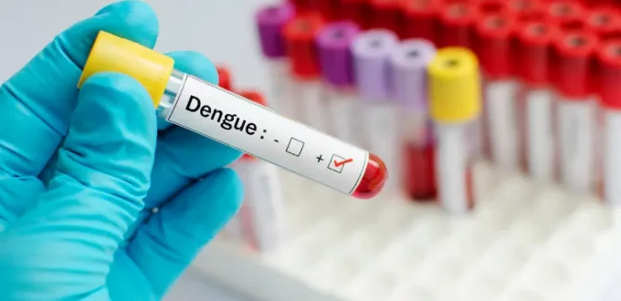 Dengue Testing Breakdown