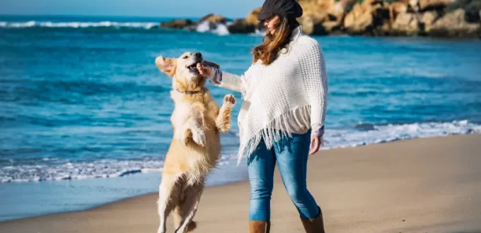 13 Signs Your Dog Truly Loves You