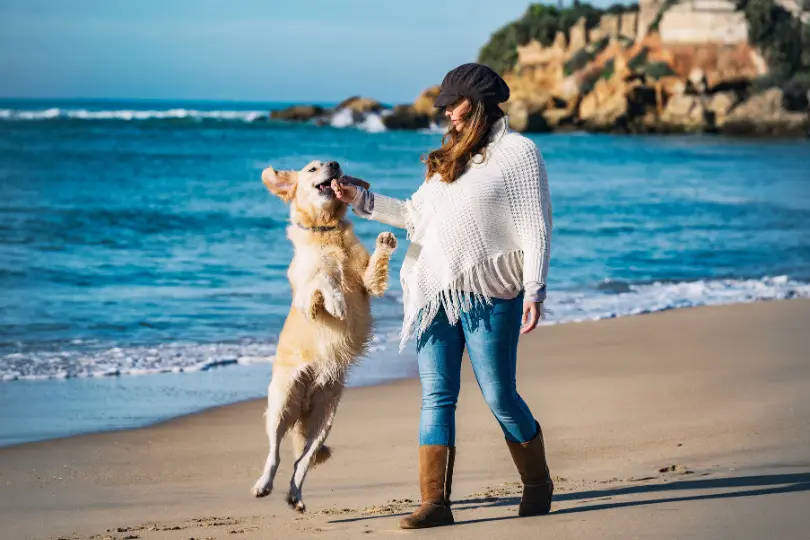 13 Signs Your Dog Truly Loves You