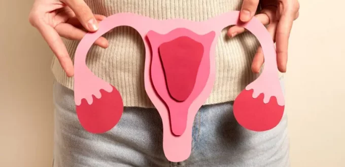 Navigating the Challenges of Fertility with Uterine Fibroids