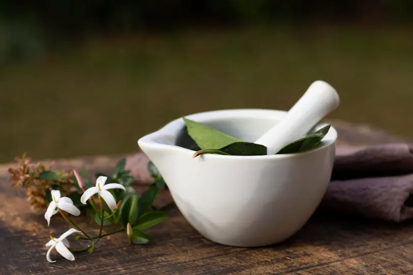 5 Health Benefits Of Naturopathic Medicine