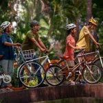 Bicycles Support Environmental Sustainability