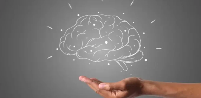 How to Support Brain Health at Every Stage of Life