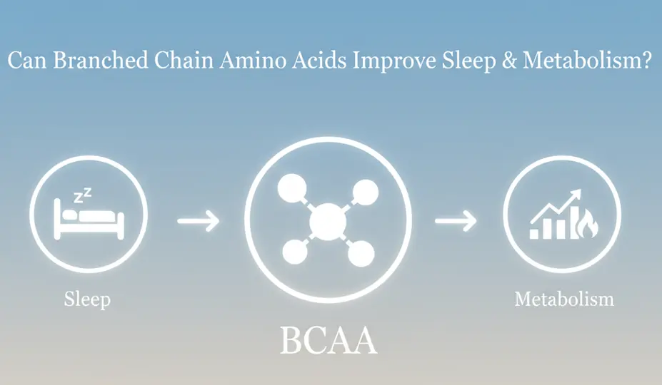 Can Branched Chain Amino Acids Improve Sleep & Metabolism?