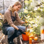 Functional Wellness Gardening: The Biological Bio-Hack for Your Stress A peaceful functional wellness garden