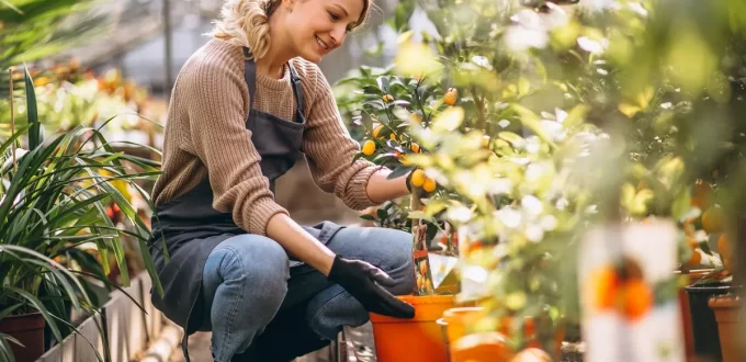 A peaceful functional wellness garden