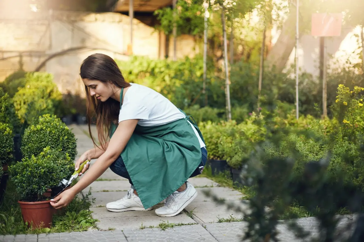 A functional garden layout featuring winding stone paths and a small water fountain to create a calming environment.
